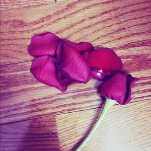 Meet your Posher, Mona